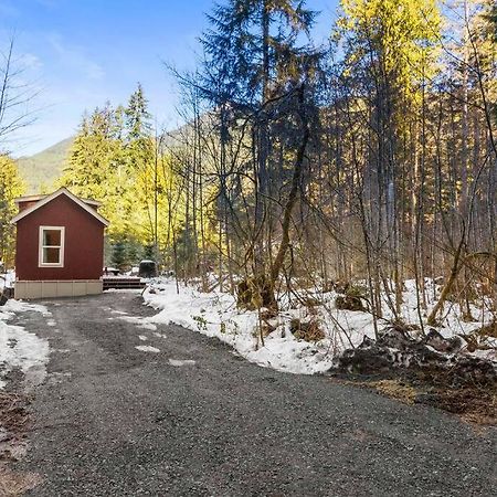 Cozy Tiny Home Steps Away From Mt. Rainier Ashford Eksteriør billede